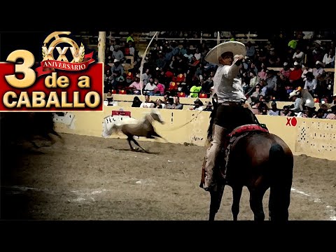 Perron QH - 3 of 3 Manganas on Horseback - 2022 THV Millionaire Championship