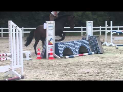 Iberio-Sherlock Holmes 7 Jahre