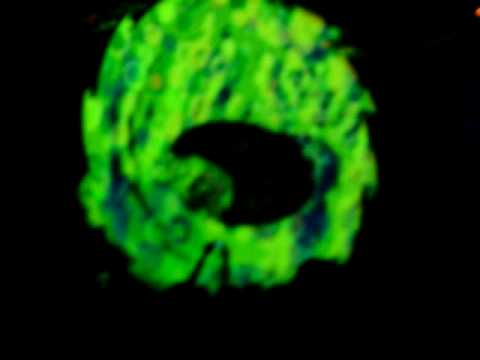 John Askew@ Privilege 3