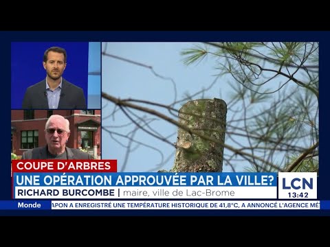Arbres coupés à Lac-Brome: la Ville n’a donné «aucune autorisation», clame le maire - entrevue