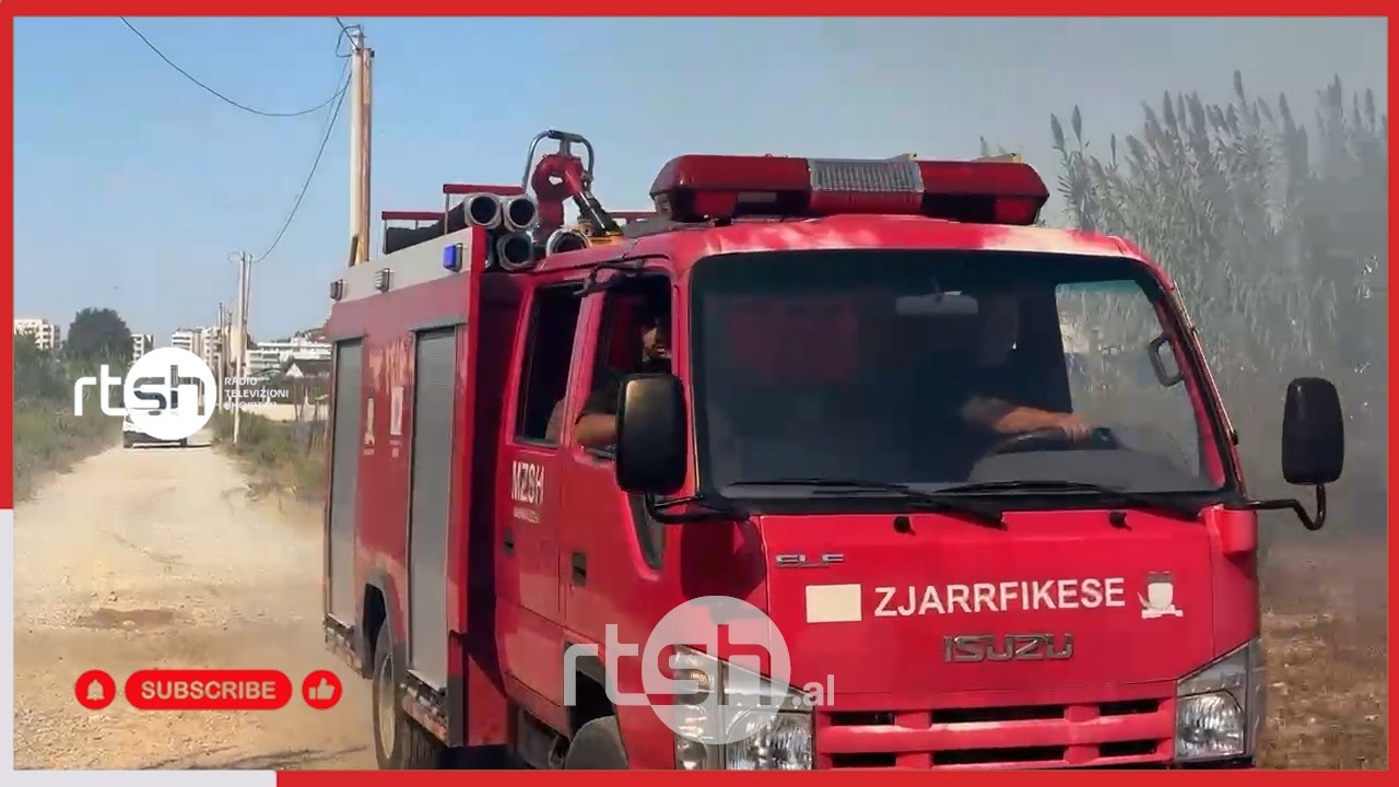 Zjarri përfshin shkurret në një zonë të banuar në Lezhë, zjarrfikësit vënë nën kontroll flakët