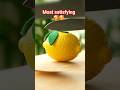 Most Satisfying Glass Lemon Cutting ASMR Asmr Satisfying Ai Shorts