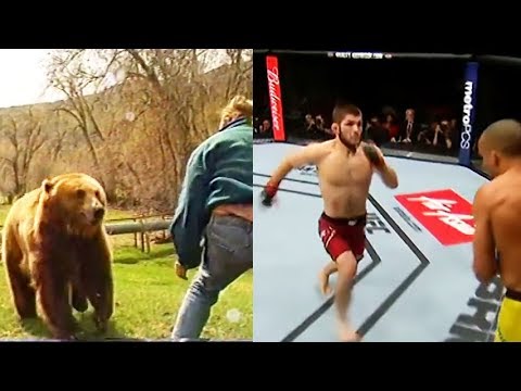 KHABIB Fighting Like a BEAR Comparison