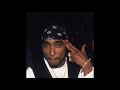 Mc Lyte Ft 2pac Poor Georgie