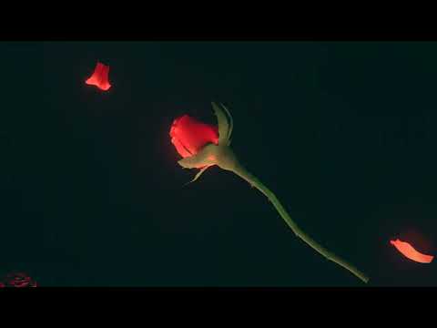 Video thumbnail for Think About It