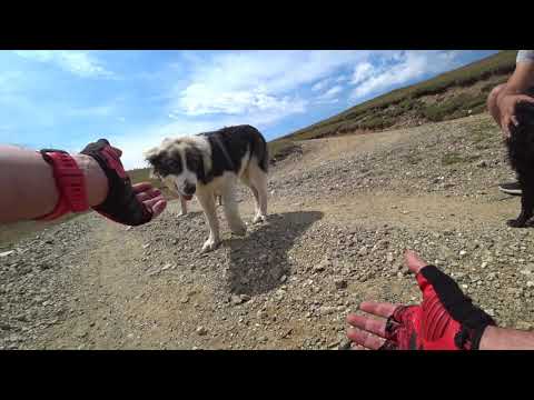 Creasta Muntilor Capatanii cu biciclete electrice de la Cozia e-Bike.