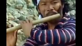 Download lagu Rhoma irama,napsu Serakah #rhomairama #trending #travelling #santrikeren #sorotan  mp3