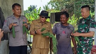 Proses persiapan Pembangunan Rabat beton Gang di Kp Cirata Panjang Desa Ciherang Karangtengah Cjr.