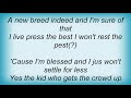 Kid Rock - Trippin' Over A Rock Lyrics