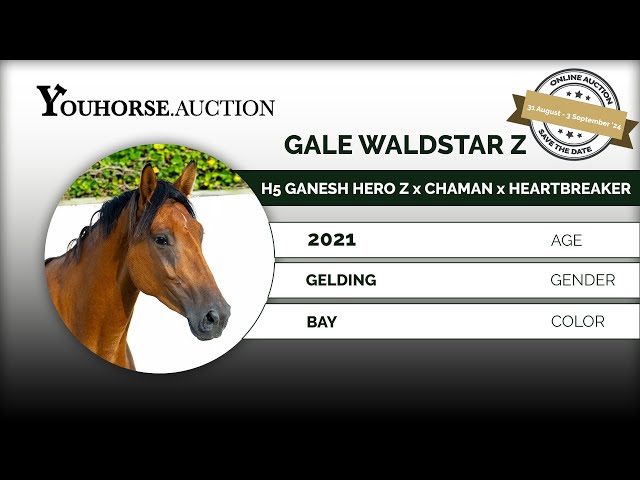 Gale Z