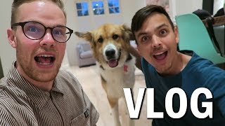 We Adopted a Dog!! (Vlog #36)