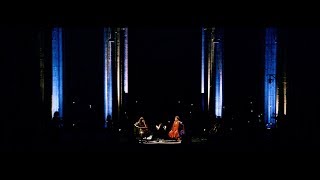 BIRDS  ON A WIRE - WHO BY FIRE