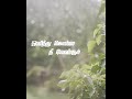 Katre En Vasal Vandhai Love Song AR Rahman Whatsapp Status In Tamil