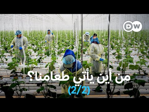 الخضراوات النيئة صحية للغاية، سواء في السلطة أو كوجبة خفيفة. لكن هناك بعض الخضراوات التي يُفضّل عدم تناولها قبل الطهي. فهل يُمكن تناول الكوسا نيئة، وما هي الخضراوات التي يجب توخي الحذر عند تناولها؟ 