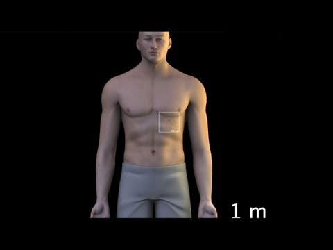 How Small is a Nanoparticle?