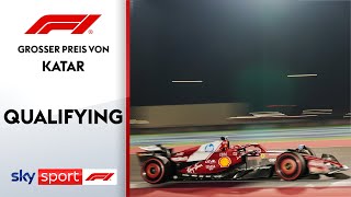 Schwarze Pferde oder störrische Esel? | Qualifying - Highlights | Großer Preis von Katar | Formel 1