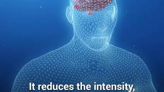 Cosa succede al nostro corpo quando ascoltiamo la musica? 