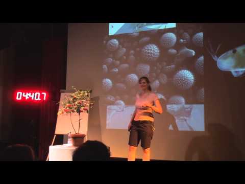 8. Science Slam Zürich - "Als das Mittelmeer trocken lag - Wer zog den Stöpsel?"