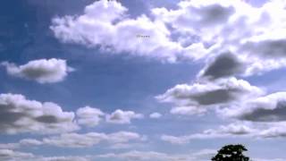 Happiness is a blue skyed day in June