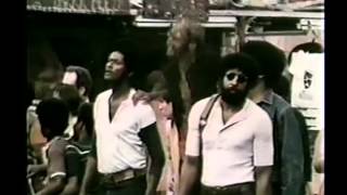 The Bad Bunch (1973) Video