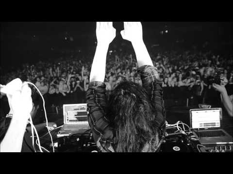 ALVIN RISK + SKRILLEX + Jason Butler - TRY IT OUT (PUT EM UP MIX)