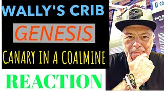 The Police ! Canary in a Coalmine ! Reaction !, #Thepolice, #Canaryinacoalmine, #Reaction