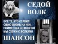 Седой ВОЛК Шансон А.Н. Краснощёк Одесса 