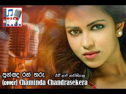 PUNSADA RAN THARU  - (COVER) CHAMINDA CHANDRASEKERA