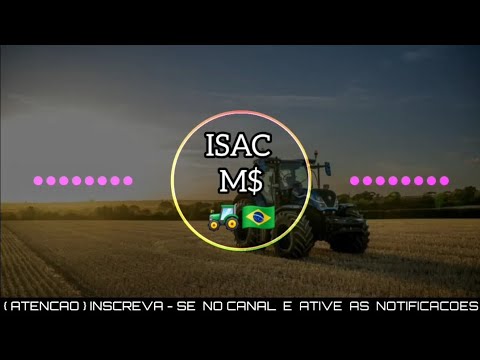 SELEÇÃO DIOVANE SEVERO O RITMO QUE CONTAGIA