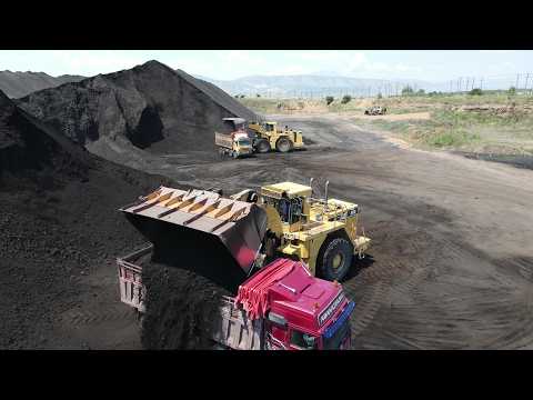 Inside the Power of Two Giant Cat 990 Wheel Loaders – Massive Coal Loading Operation