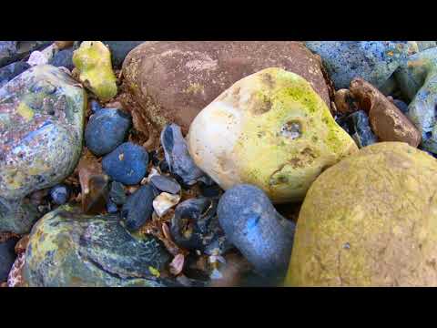 Night View of Sea Beach in 4k/ Beach 4K Drone Footage