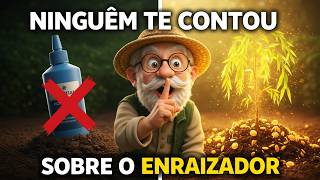 O Segredo do Enraizamento Natural Que Ninguém Te Conta