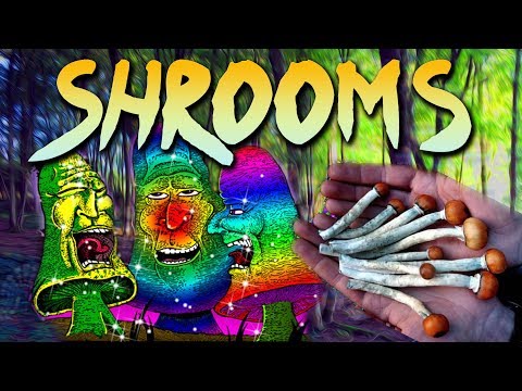 Zu viele Shrooms gefressen.. | Erfahrungsbericht
