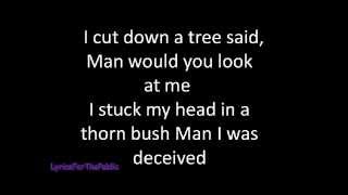 Skillet - My Beautiful Robe Lyrics