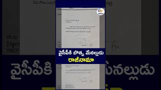 వైసీపీకి బొత్స మేనల్లుడు రాజీనామా #botsa