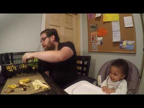 Rudy Reviews Bananas. Miami Fruit Banana Variety Box Review.