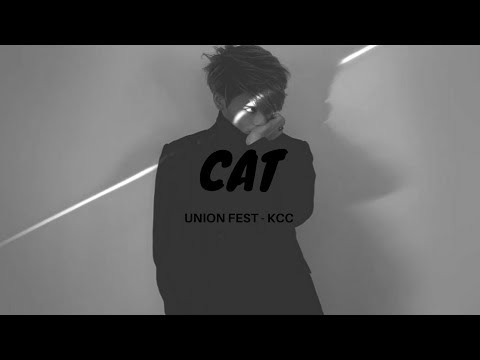 180520 KCC - Cat - 'Hallelujah' by Jonghyun