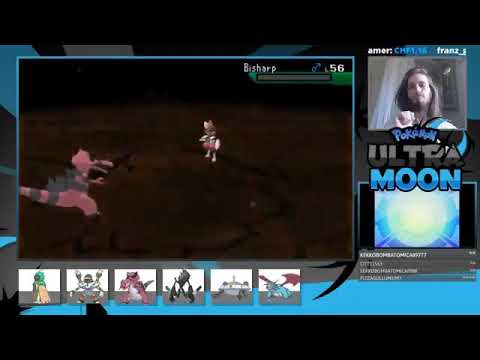 È una macchina da guerra questo coccodrillo # Il masseo#