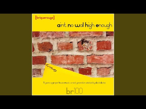 Those Lies feat. Ladybird (David Duriez Full On Acid Mix)