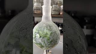 Download lagu Distilasi Uap Serai mp3