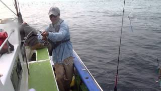 浅八丸のイメージ