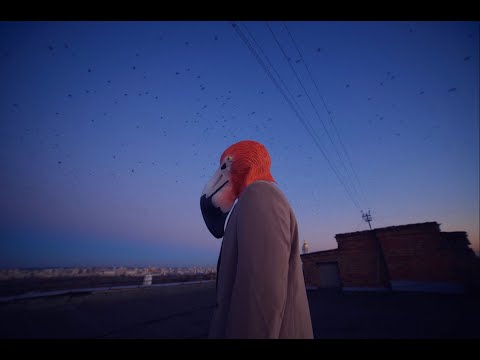 Lucas Bird - Miracle (Music Video)