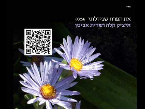 את הפרח שגידלתי