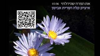 את הפרח שגידלתי