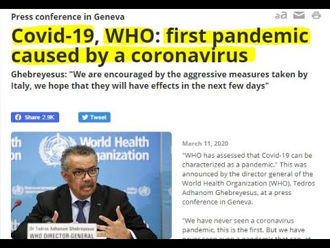 03/11/2020 - COVID-19 Coronavirus Update - The news stories that explain the new numbers