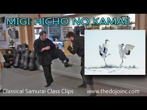 Hicho no Kamae - Classical Martial Arts Class Clips at The Dojo