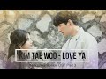Kim Tae Woo Love Ya Backstreet Rookie OST Part 3 Han Rom Eng Lyrics
