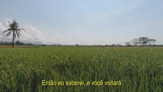 Keaton Henson - Not That You'd Even Notice (Legendado)