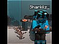 Sharkilz Vs Rejoicin Shorts