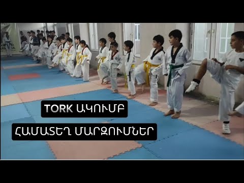 TORK CLUB։ Taekwondo Armenia/ Arsen Avetisyan